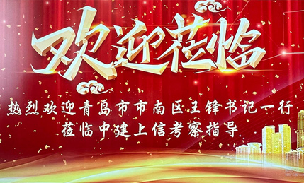 热烈欢迎青岛市市南区王锋书记一行莅临中建上信考察指导